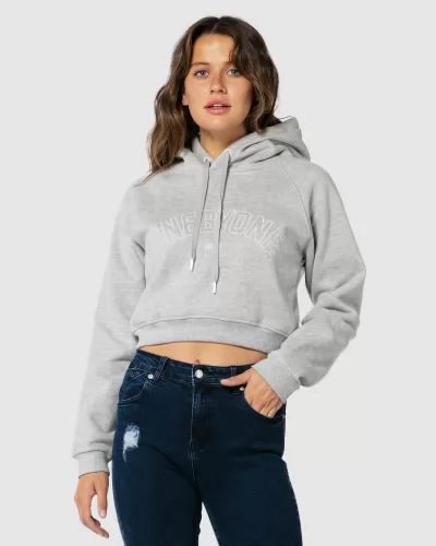 ESTABLISHED GREY HOODIE